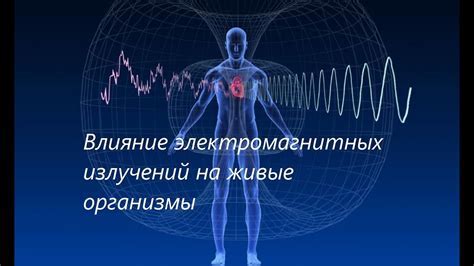 Положительные эффекты коллагена на организм