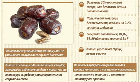 Польза фиников для организма кормящих мам