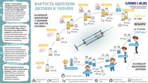 Понимание прививок и их роли в здоровье кошки