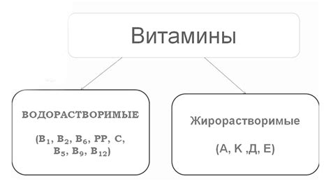 Понимание срока годности витаминов