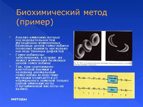 Понимание сущности близнецов: