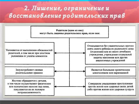 Порядок лишения трудовых прав: причины и последствия