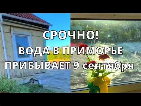 Последствия обморока