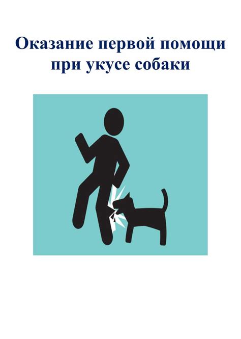 После укуса собаки за конечность: оказание первой помощи и последующие шаги