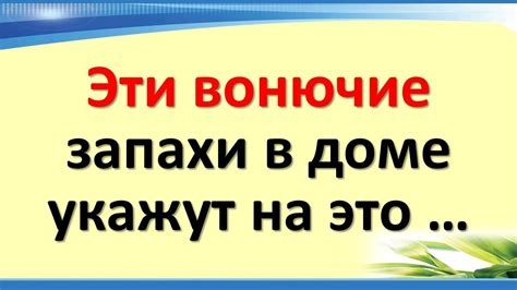 Постепенное знакомство через запахи