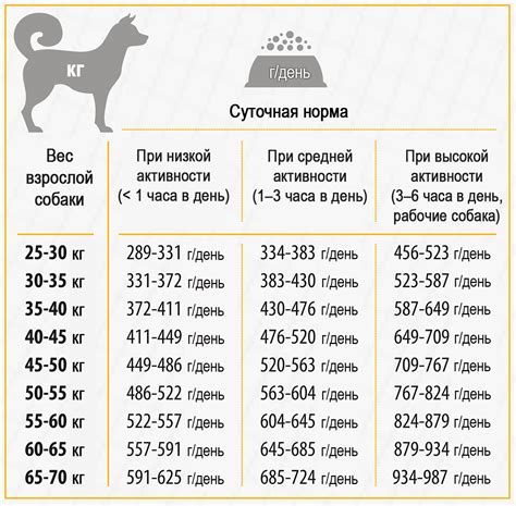 Постоянное поедание сухого корма