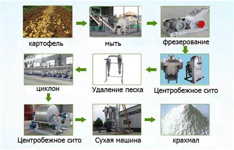 Потенциальные вредные последствия употребления картофельного крахмала