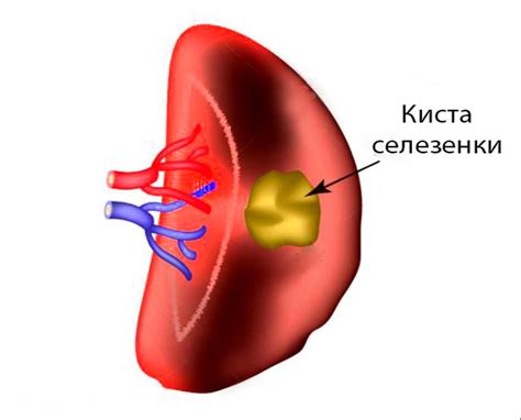 Потенциальные риски и опасности от использования йодированной воды