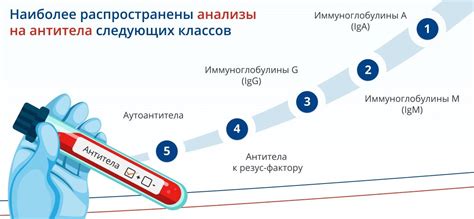 Почему важно знать норму уровня иммуноглобулина