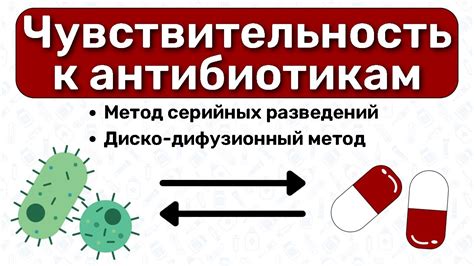 Почему важно проверять чувствительность к антибиотикам?