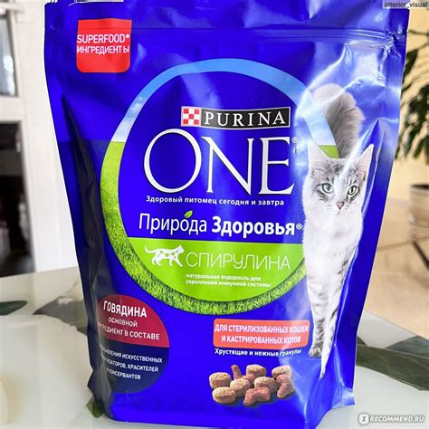 Почему необходимо кормить свою кошку кормом Purina One?