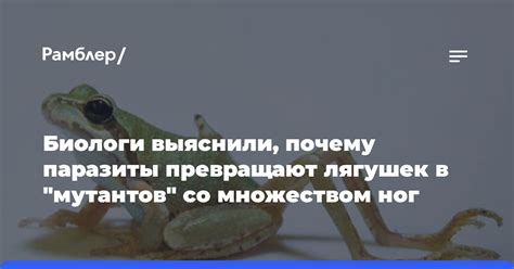 Почему распространены образы лягушек в сновидениях в жаркое время года?