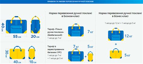 Правила и ограничения по перевозке цветов на борт самолета Аэрофлот