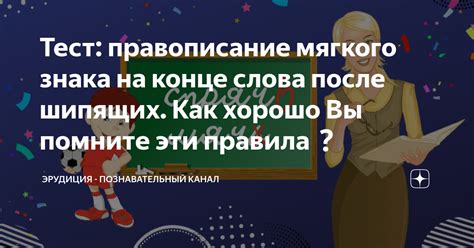 Правила написания мягкого знака в конце слова: грамотность и правила