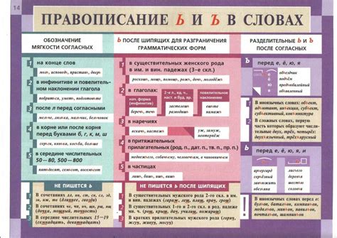 Правила написания мягкого знака по грамматике русского языка