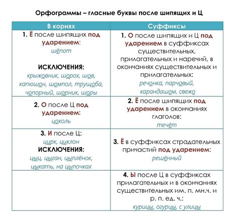 Правила орфографии для пятого класса