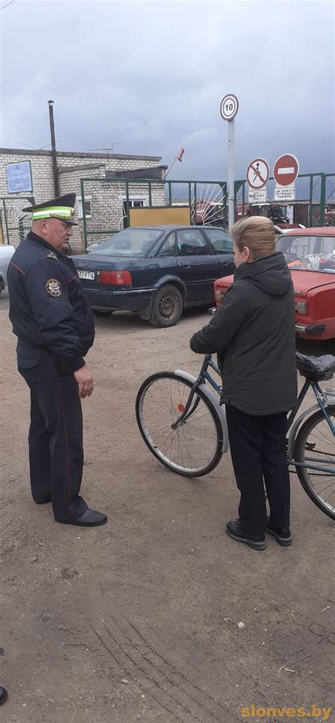 Правила участия гужевых транспортных средств на дорогах