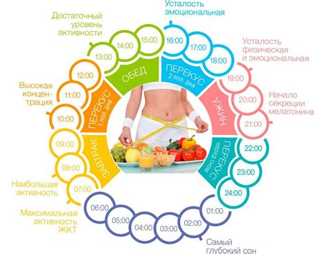 Правильное питание и режим питания