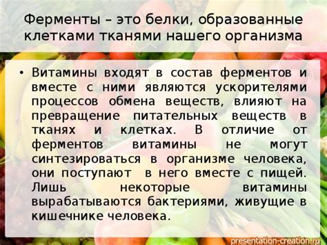 Превращение питательных веществ в организме