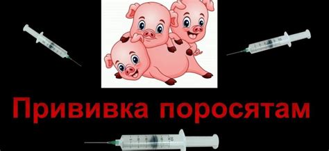 Преимущества воскресных прививок