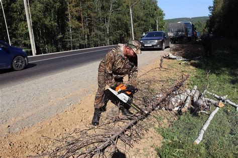 Преимущества использования валежника