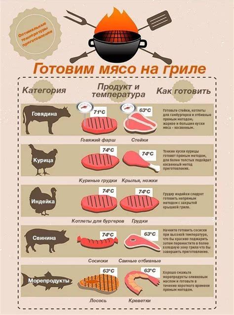 Признаки готовности индюшки к несению