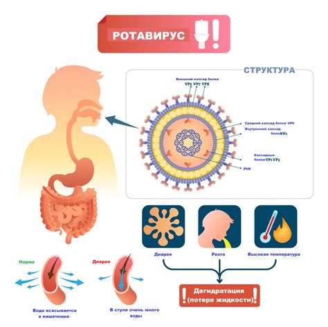 Признаки ротовируса у детей