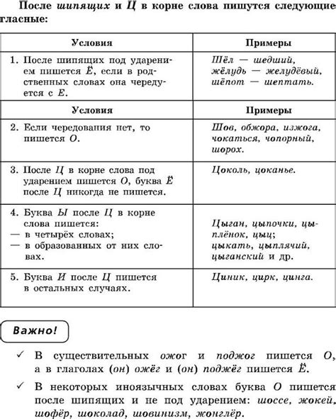 Применение русского языка после окончания школы