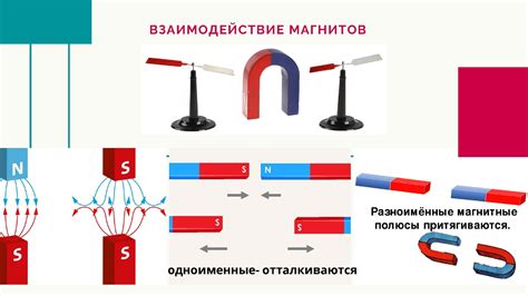 Принцип действия магнитов на организме