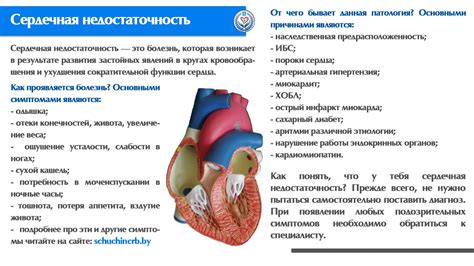 Причины и механизм образования скапливания воды в легких