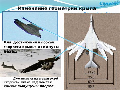 При высоких высотах полета