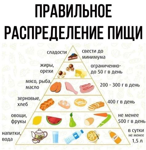 Пробиотики и здоровый пищеварительный процесс