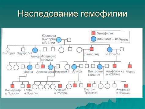 Проверка генеалогического древа и родословной