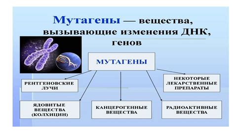 Проверка наследственности