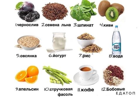 Продукты, полезные для восстановления микрофлоры после тренировок