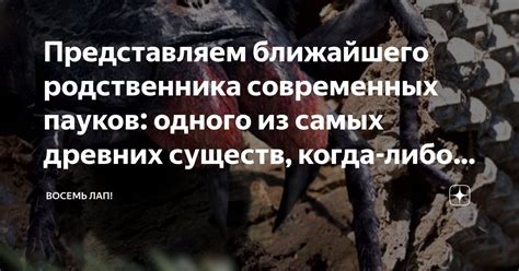 Пророчество о кончине ближайшего родственника