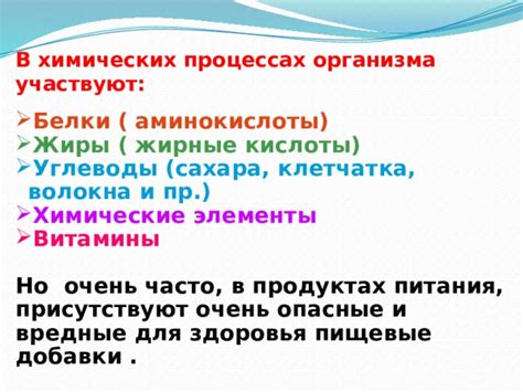 Протеин и клетчатка: незаменимые элементы здорового питания