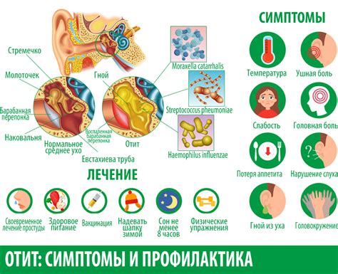 Профилактика отита у детей