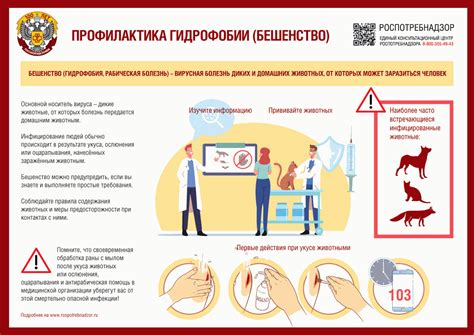 Профилактика укусов лисами и борьба с бешенством