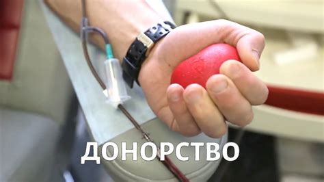 Процедура донорства органов