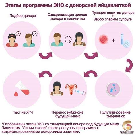 Процедура проведения донорства яйцеклетки с отрицательным резусом