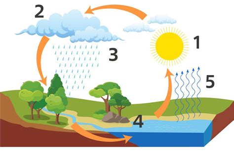 Процессы в конце круговорота воды