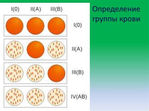 Процесс определения группы крови в лаборатории