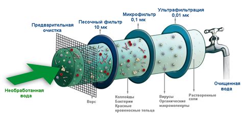 Процесс очистки воды из Байкала для питья