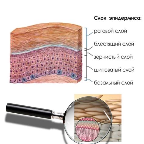 Разделение на слои