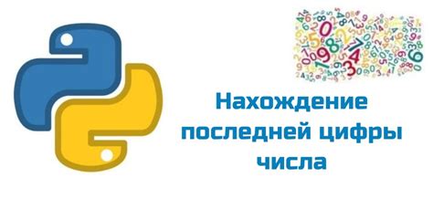 Раздел 1: Как использовать оператор "if" для проверки числа в Python