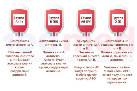 Раздел 3: Характеристики четвертой группы крови