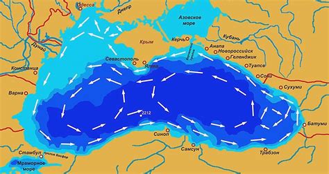 Раздел 8: Распространение кальмаров в Черном море