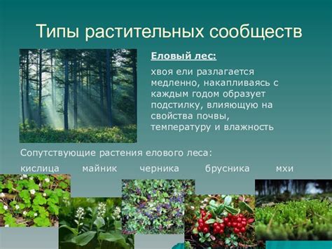 Разлагается медленно и продолжает действовать