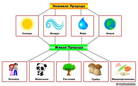 Различия между безотносительностью и соотносительностью